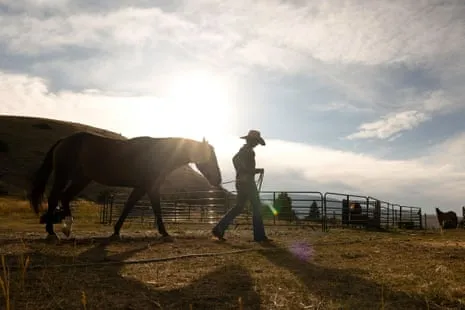 Get to Know the American Cowgirls Redefining Modern Ranching